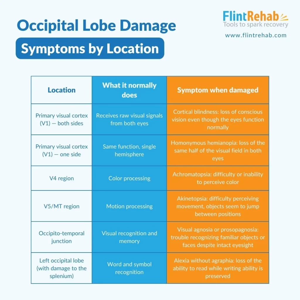 Chart showing the locations of the occipital lobe, what they normally do, and the specific symptoms that occur when that area of the occipital lobe is damaged