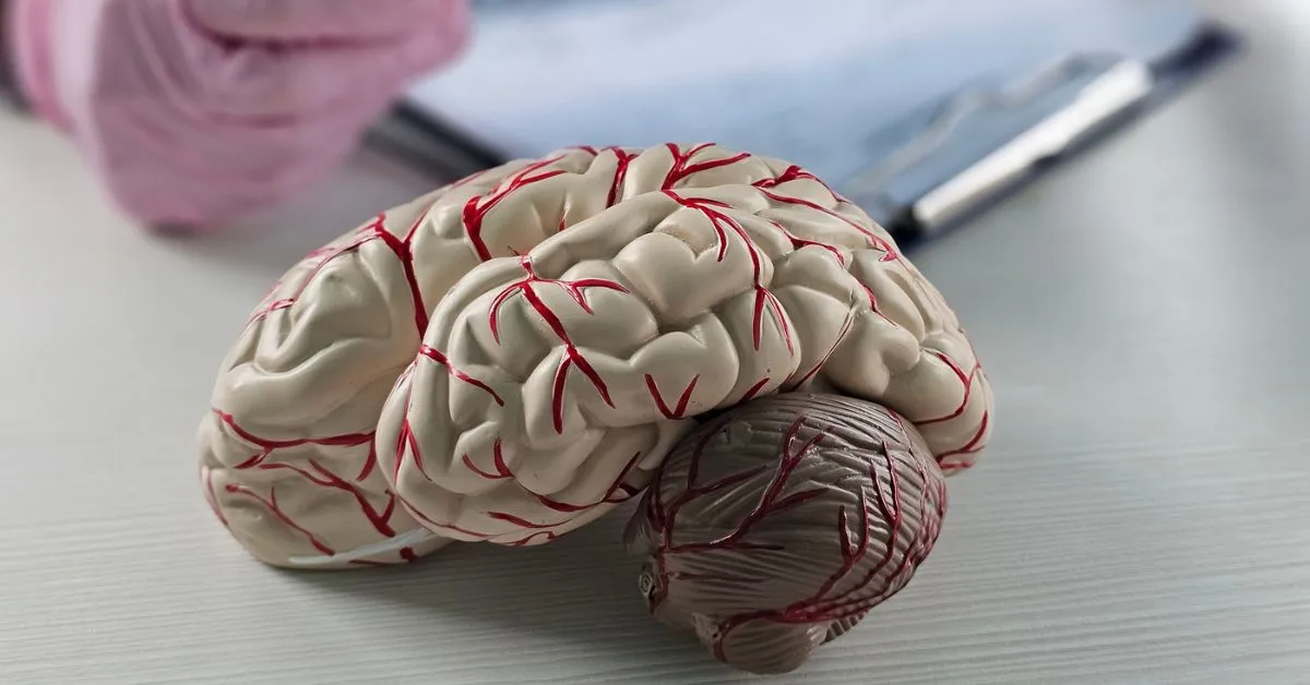 picture of a brain showing focal vs diffuse brain injury