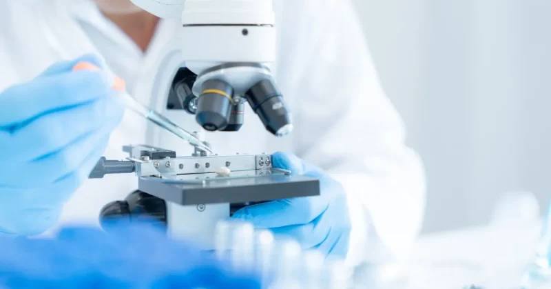 new stroke drug being tested on mice to help potential stroke recovery