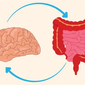 illustration of how the brain and gut health impact each other during TBI recovery