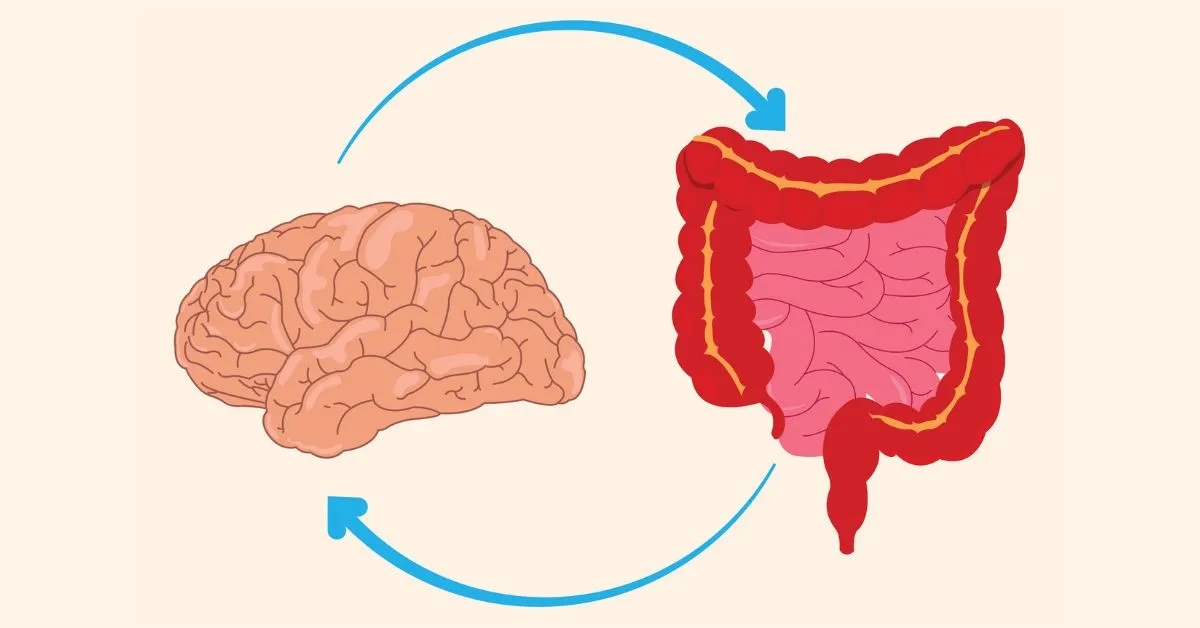 illustration of how the brain and gut health impact each other during TBI recovery