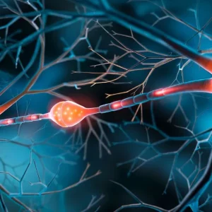 two synapses after a neurological injury highlighting the mechanism of neuropathic pain
