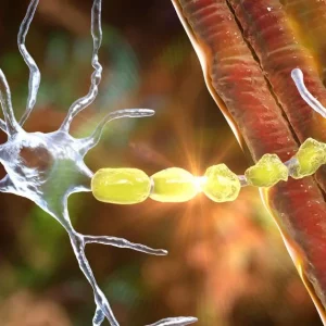 ms relapse symptoms being shown on a molecular level