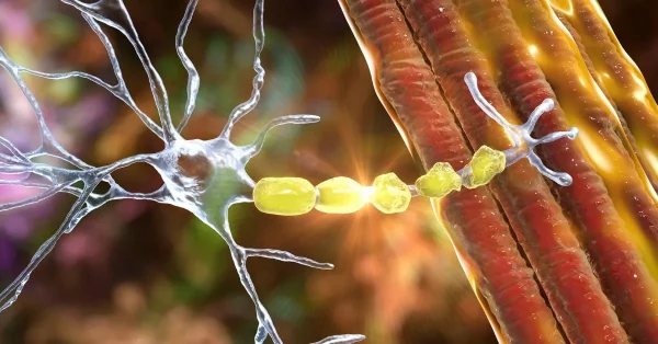 ms relapse symptoms being shown on a molecular level